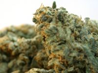 Karaman, 10 bin TL teminatla serbest