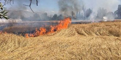 İki arazide ekinler yandı