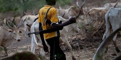 Nijerya'da çobanlar ile çiftçiler arasında çatışma: 11 ölü