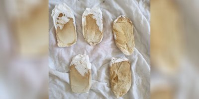 İki kişi tutuklandı!