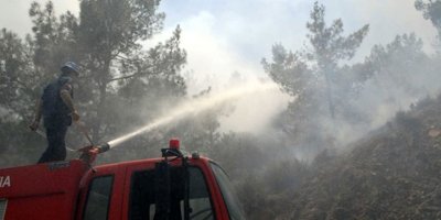 Rusya'nın ormanları yanıyor "Yeniden ağaçlandırılmasının 100 sene süreceği belirtiliyor"