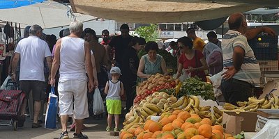 Asma yaprağı “altın” değerinde!