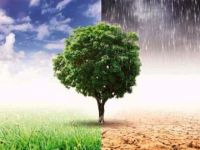 İklim değişikliği insanlığı tehdit ediyor