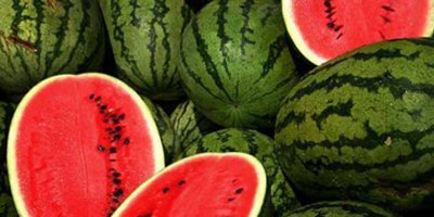 Çifçinin karpuz isyanı