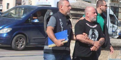 Şebeke bağlantısı mercek altında