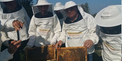 Temel arıcılık kursu 8 Temmuz’da başlıyor