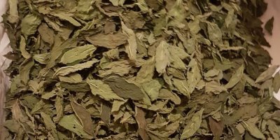 Molehiyanın kilosu  40 TL