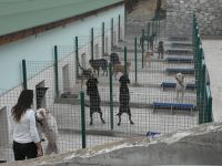 Girne Belediyesi Hayvan Barınağı ve Rehabilitasyon Merkezi’nin açılışı Salı günü...