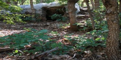 Teröristlere büyük darbe