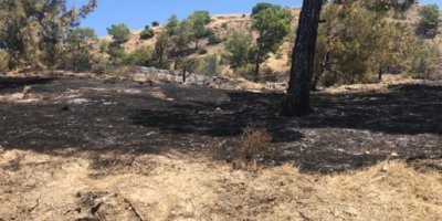 Yedidalga’da yangın