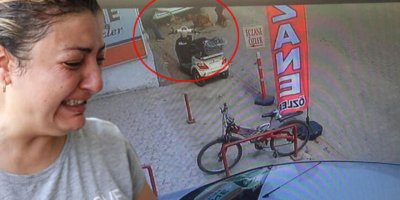 Büyük vicdansızlık! Hamile kediyi Pitbull'un ağzına attı