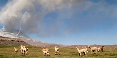 Peru'daki Ubinas Yanardağı'nda hareketlilik