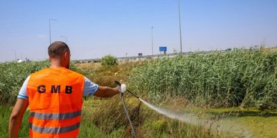 Gazimağusa belediyesi “batı nil virüsü”ne karşı çalışmalarını yoğunlaştırdığını açıkladı