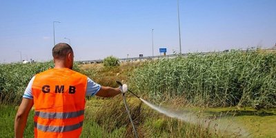 “Batı nil virüsü”