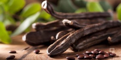 Gazimağusa ilçesinde Harup hasadı 23 Ağustos’ta başlayacak