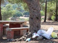 Bu insanlar pisliği seviyor