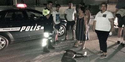 Araç köpeğe çarpıp kaçtı