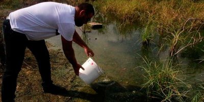 Çanakkale Göleti’ne sivrisinek larvalarını yiyen balıklar bıraktı.