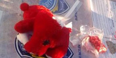 Konya’da oyuncak ayı içinde bomba ele geçirildi