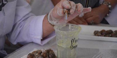 Mermer blokların arasında çalışıyordu... Şimdi 'sıvısını' çıkararak iş sahibi oldu