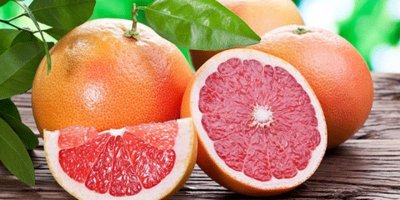 “CYPFRUVEX” greyfurt alımları için başvuru kabul etmeye başladı