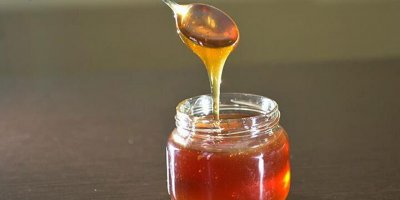 Türk balına yoğun ilgi