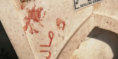 'Kediye işkence edip kanıyla çeşme mermerine Arapça yazı yazdılar'