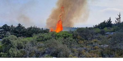 Yangın kontrol altına alındı