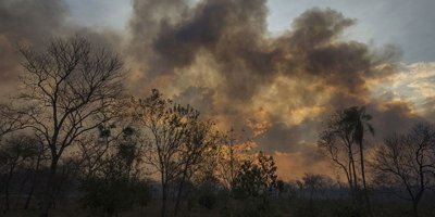 Brezilya'daki amazonlarda hava kirliliği artıyor