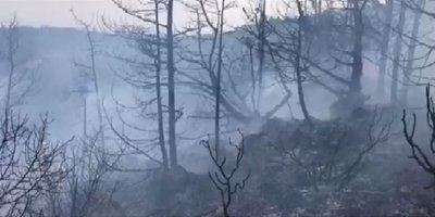 “Kantara yangınıyla ilgili bazı haber ve fotoğraflar gerçekleri yansıtmıyor”