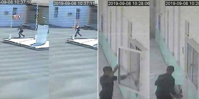 “Bunları kim başıboş bıraktı?”