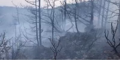 “Bazı haber ve fotoğraflar gerçekleri yansıtmıyor”