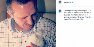 Erdoğan'dan kedili TBT