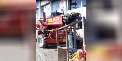 Girne’de hurmaları izinsiz toplayanlar şikayet edildi