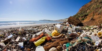 Plastik atıklar erişilemeyen Ada'ya erişti