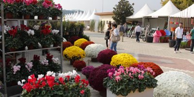 İklim krizine karşı buluşuyorlar