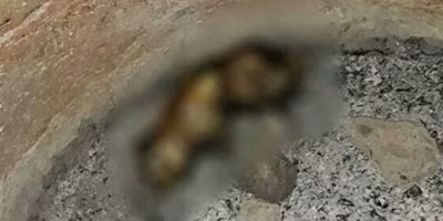 Bu vahşetin sorumlularını bulun