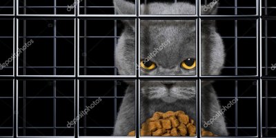 Daha önce hiç böyle bir gözaltı haberi okumadınız