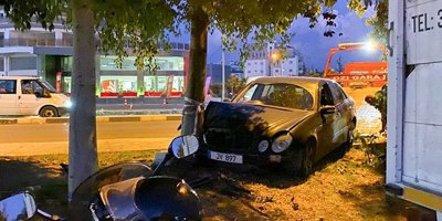 Ağaca çarparak durabildi