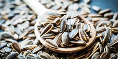 Çekirdek kilo aldırır mı?