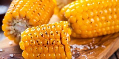 Mısır kaç kalori?