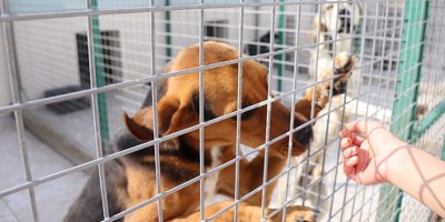 "Destekle daha iyi mesafeler alınacak"