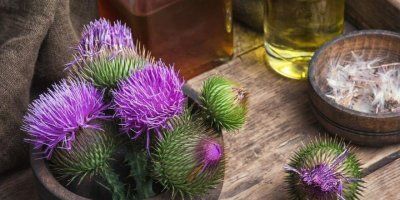 Deve dikeninin faydaları nelerdir?