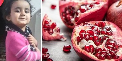 Yediği nardan zehirlenen 4 yaşındaki Saliha öldü