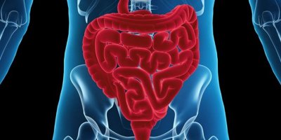 “Bağırsak mikrobiyotası ikinci beynimiz”