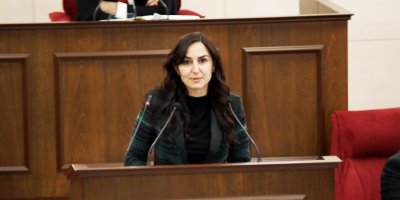 Rogers: Yasamada çok eksik var...