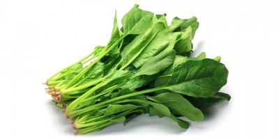 Ispanak zehirlenmelerinin nedeni belli oldu