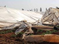 Maraş’lı seracılar yardım bekliyor