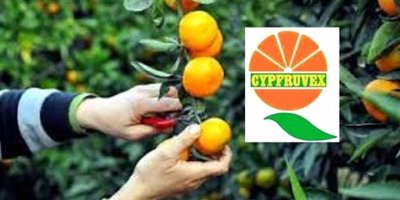 “CYPFRUVEX” ürün bedelleri ödemesinin çarşamba gününden itibaren yapılacağını duyurdu