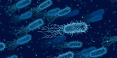 4 bin kişi incelendi: Bu bakteri kanser riskini artırıyor